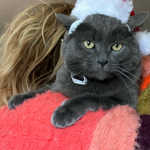 Hi! It’s Me, Kylo! - Picture 7 of 8